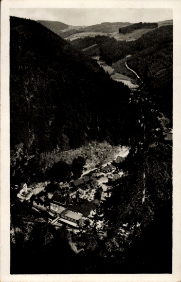 Ak Falkenstein in de Harz, landschap met stad, zwart-witfoto, bergen, bossen,