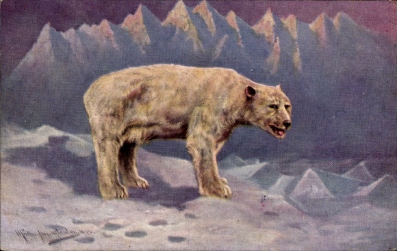 Artist Postcard Müller, jun., polar bear in the Arctic, ice floes, glaciers