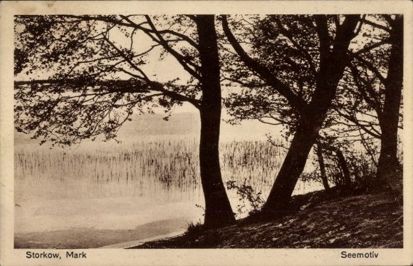 Postcard Storkow in der Mark, lake, trees