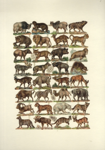 Oblate Block, Wildtiere, Löwe, Elch, Elefant, Eisbär, Känguru, Zebra, Hyäne u.a., ca. 30 x 21,5 cm
