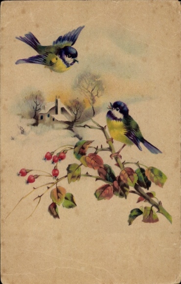 Ak Dorfidyll, Winter, Vögel