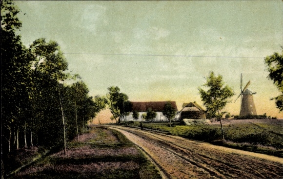 Postcard Windmill, Street, Forest, Birch Trees, Residential House