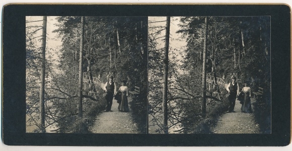 Stereo photo Hohenschwangau, forest area, 1907