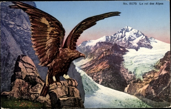 Postcard Eagle, King of the Alps, Mountains