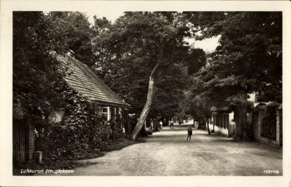 Postcard Neuglobsow Stechlin Brandenburg, street, houses