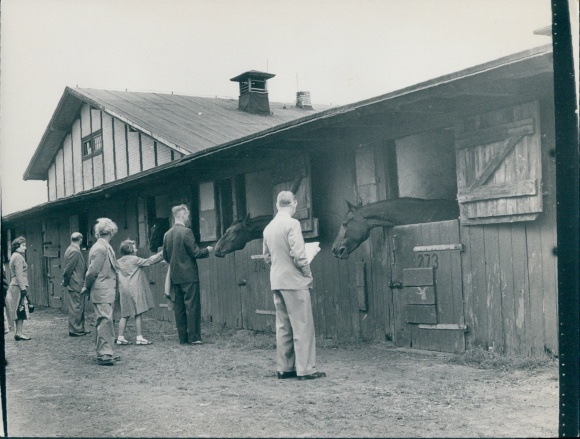 foto Berlin West 1954, drafbaan Berlin Mariendorf, paarden in stallen