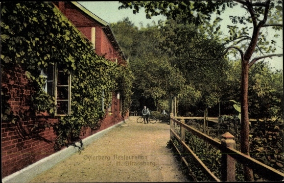 Postcard Oyle Marklohe in Lower Saxony, Oyler Berg, pension and forestry