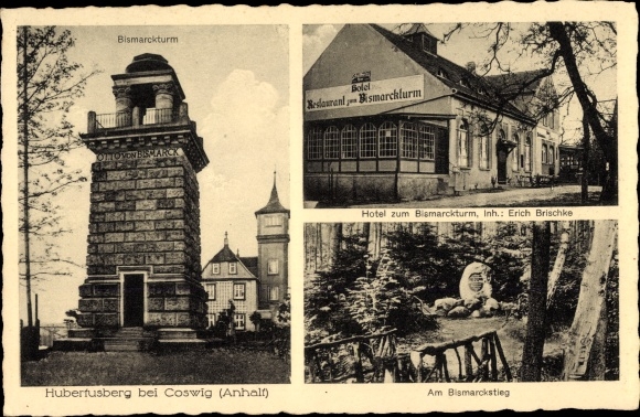 Ak Coswig Anhalt, Hubertusberg, Turm, Hotel, Erich Brischke, Bismarckstieg