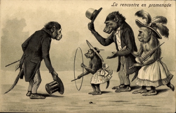 Chromo-Litho Humanized monkeys, suit, dress, hoops, hats