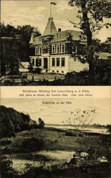 Postcard Glüsing Schnakenbek in Lauenburg, Waldhaus Glüsing, Waldwiese
