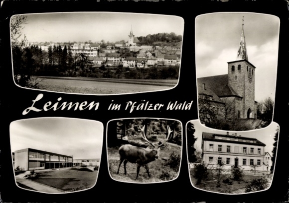 Postcard Leimen in the Palatinate, church, building, panorama