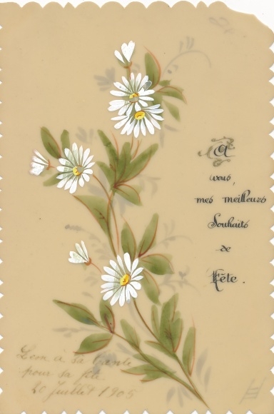 Zelluloid Ak Glückwunsch, Margeritenblüten