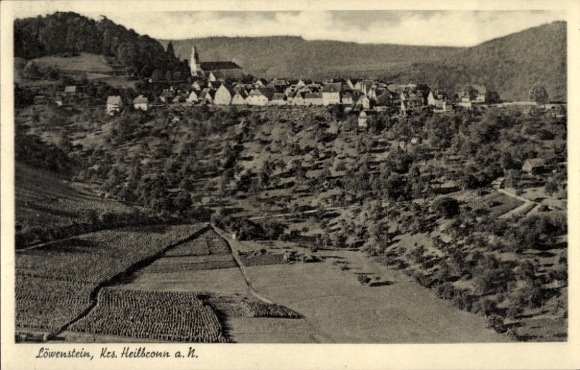 Postcard Löwenstein in Württemberg, town view, vineyards, church, rural surroundings
