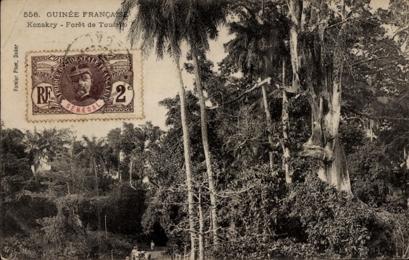 Ansichtkaart Conakry Konakry Guinea, boomlandschap, Franse ansichtkaart, Forêt de Toumo, Senegal