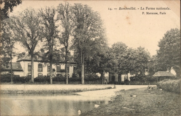 Ak Rambouillet Yvelines, La Ferme nationale, parkähnliche Anlage, Bäume, Teich
