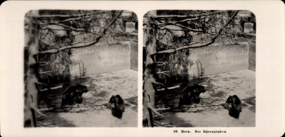 Stereo Foto Bern Stadt Schweiz, Bärengraben