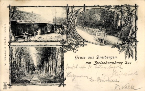 Postcard Dreibergen Bad Zwischenahn in Oldenburg, Restaurant Dreibergen, Allee, Zwischenahner See