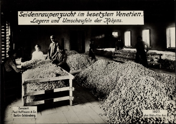 Postcard Silkworm breeding in occupied Venetia, storing and shoveling the cocoons, I WK