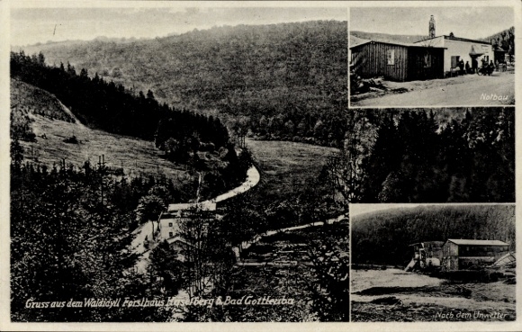 Ak Bad Gottleuba in Saksen, boslandschap, boswachtershuis, nasleep van storm, nostalgisch