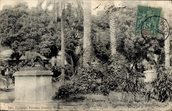 Ansichtkaart Conakry Guinea, leeuwenbeeld, palmbomen, tropische vegetatie, historische ansichtkaart