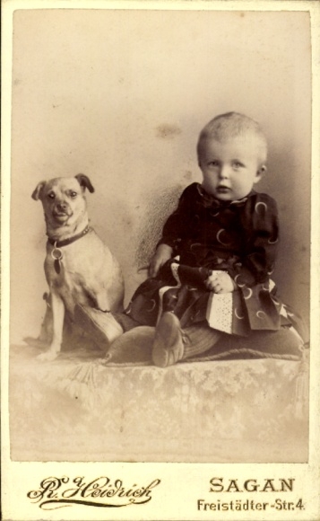 CdV child portrait, toddler with dog, photographer Robert Heidrich, Sagan, Freistädter Ring 4