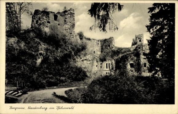 Ak Hardenburg Bad Dürkheim in der Pfalz, Burgruine, Ruinen, Natur, Schwarz-Weiß-Foto