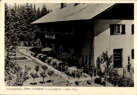 Ak Haidmühle an der Kalten Moldau Bayrischer Wald Niederbayern, Fremdenpension Haus Auersperg