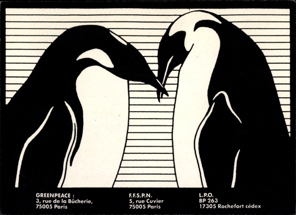 Postcard Greenpeace, penguins, Antarctica, animal protection, environmental protection