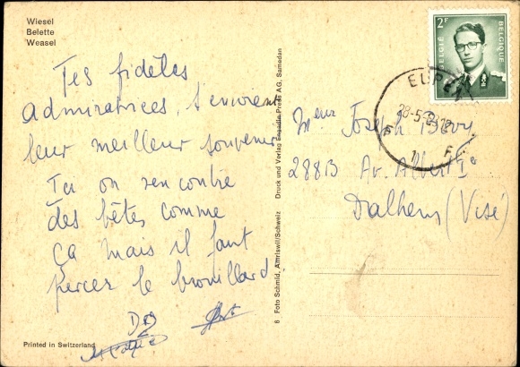Postcard Wiesel, on the hunt