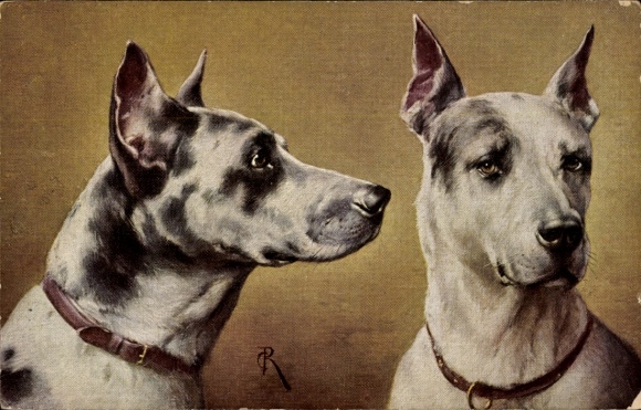 Künstler Ak Tigerdoggen, Hundeportrait