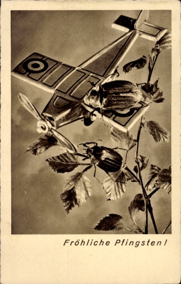 Greeting card Pentecost, cockchafer, leaves, military aircraft