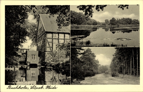 Ak Buchholz in de Nordheide, bospad, molenvijver, Seppensener molen
