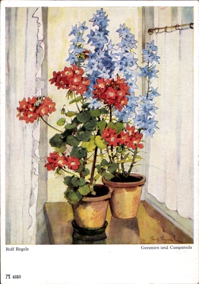 Artist Postcard Regele, R., Geraniums, Campanula, Ackermann 4333