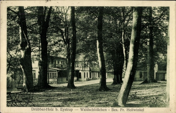 Postcard Eystrup Drübber Holz Lower Saxony, Waldschlösschen, Bes. Fr. Hellwinkel