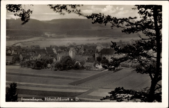 Ak Immendingen aan de Donau Baden, algemeen beeld