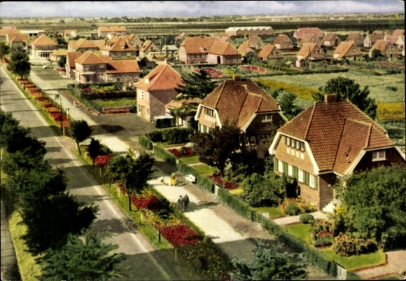 Ak Wiesmoor in Oost-Friesland, woonwijk, hoofdstraat, omgeving