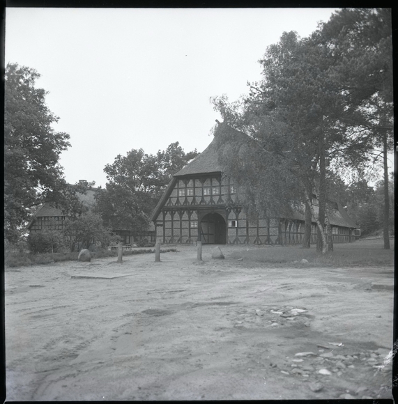 8 celluloid negatives Dauelsen Verden on the Aller, forest, cemetery, economy