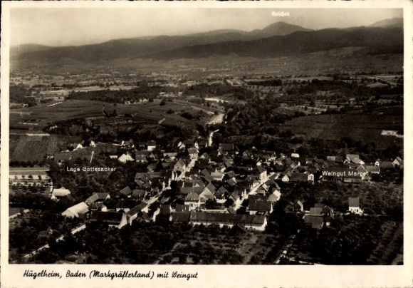 Auggen in Baden, aerial photograph, Marget winery, Gottesacker location, vineyards, village view