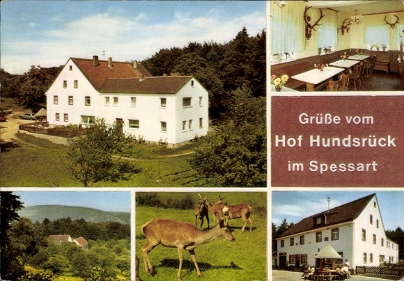 Postcard Eschau im Spessart, Hof Hundsrück, red deer, guest room
