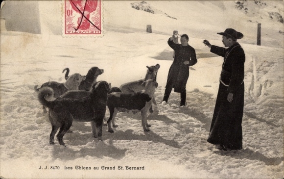 Postcard Les Chiens au Grand St. Bernard, monks training the dogs, St. Bernard
