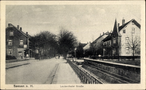 Ak Seesen am Harz, Lautenthaler Straße