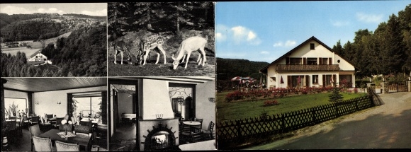 Folding PC Bad Hönningen am Rhein, Hotel Schönblick, exterior view, deer, panorama, interior views