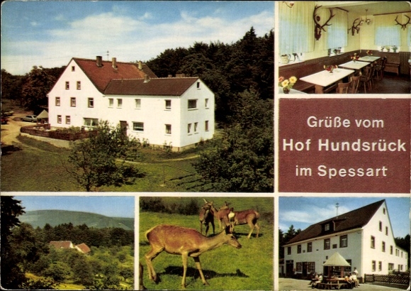PC Eschau im Spessart, Hof Hundsrück, deer, exterior view, guest room