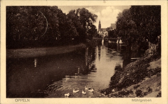 Ak Opole Oppeln Schlesien, Fluss mit Enten, Brücke im Hintergrund, Bäume, Himmel mit Wolken, Ort: