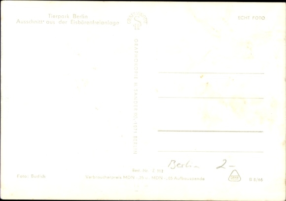 Postcard Berlin Lichtenberg Friedrichsfelde, zoo, polar bear enclosure, polar bears