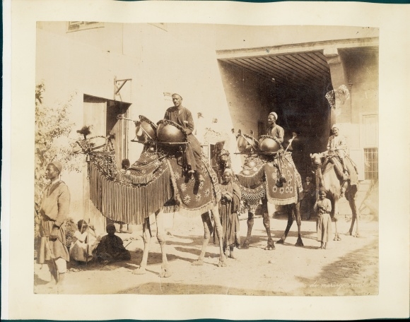 Photo Egypt, musicians on decorated camels