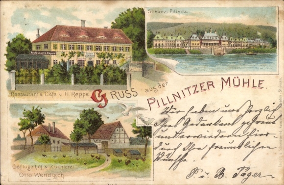Chromo-Litho Dresden Pillnitz, Pillnitz Mill, Pillnitz Castle, Poultry Farm, Restaurant Café H. Reppe