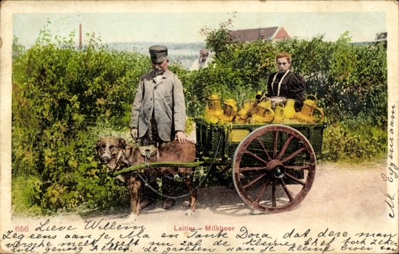 Ak Milchmann, Bauer, Hundekarren, Arbeitshunde