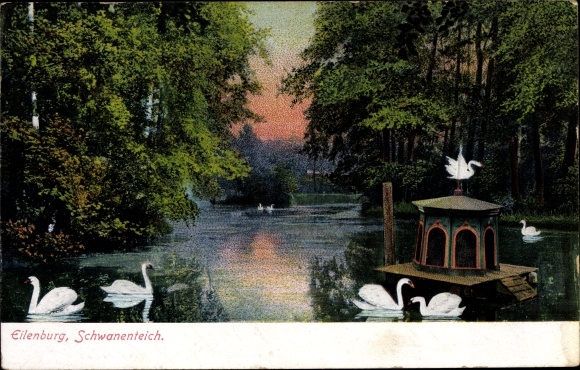 Postcard Bad Düben at the Mulde, swan pond