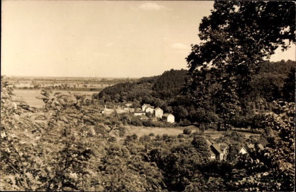 Ak Falkenberg in der Mark, Landschaft mit Bäumen, Hügeln, Häusern, Falkenberg (Mark)